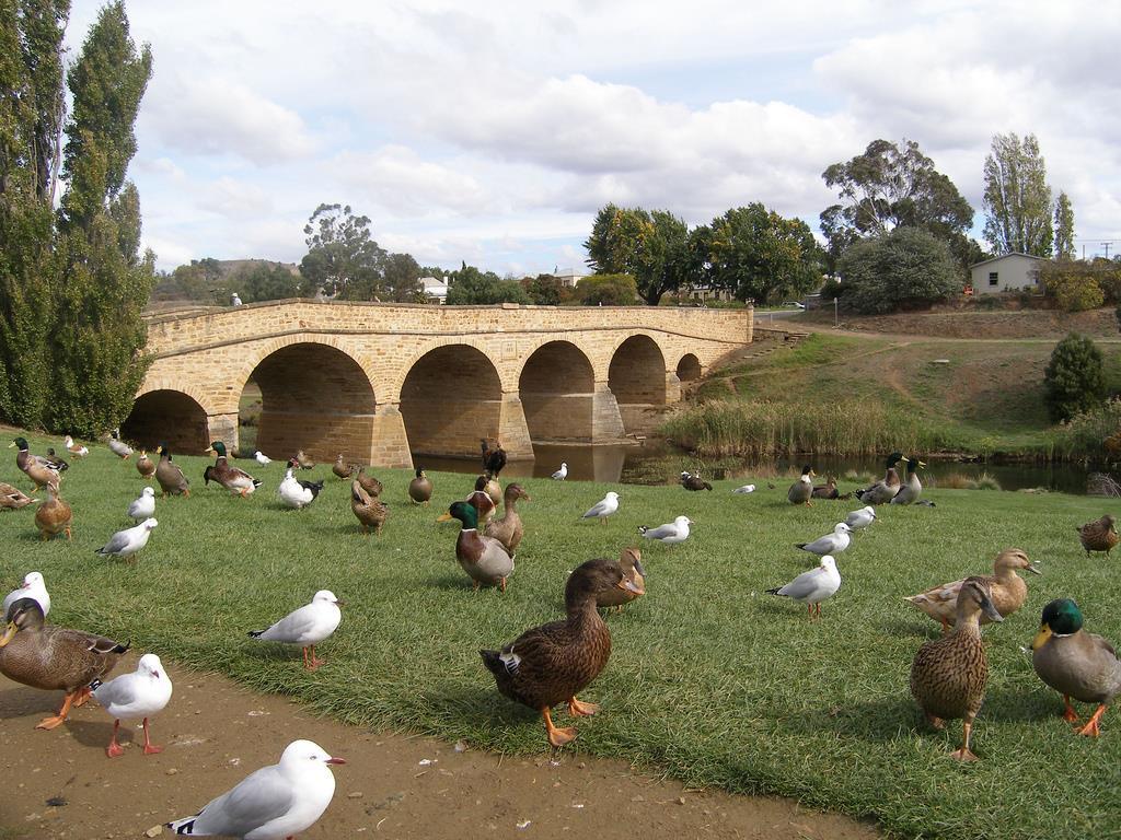 Bridge Cottages Sargeants & Armoury Cottages 1823 - History & Charm Richmond Exteriör bild